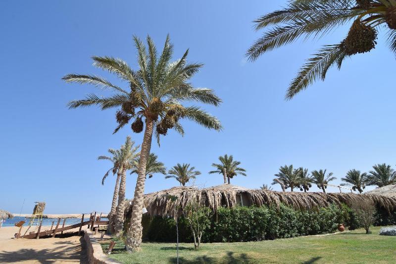 הורגהדה Sharm El Naga Resort And Diving Center מראה חיצוני תמונה