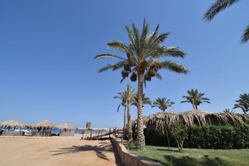 הורגהדה Sharm El Naga Resort And Diving Center מראה חיצוני תמונה