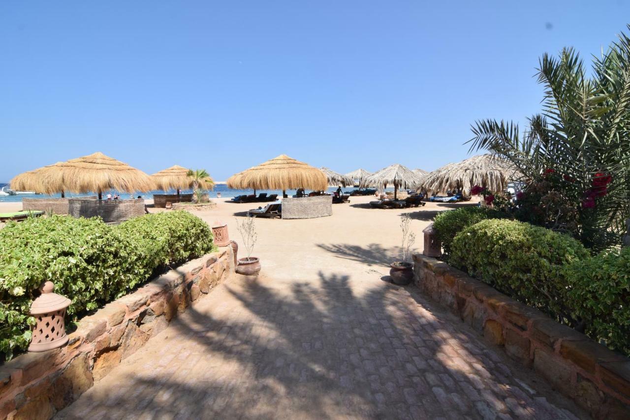 הורגהדה Sharm El Naga Resort And Diving Center מראה חיצוני תמונה