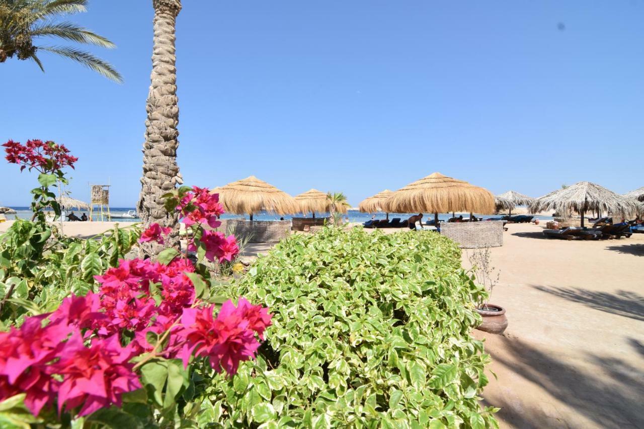 הורגהדה Sharm El Naga Resort And Diving Center מראה חיצוני תמונה